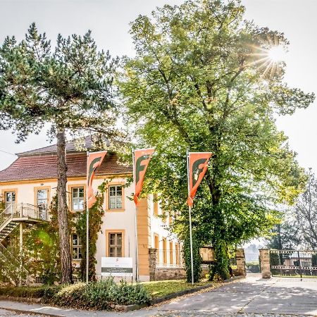 Stadtschloss Hecklingen*** Hecklingen  Zewnętrze zdjęcie